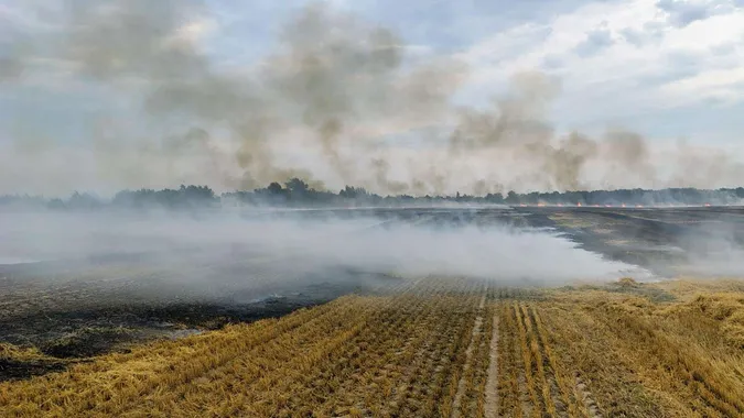Пожежа стерні на Ковельщині: вогнеборці оперативно ліквідували загоряння (фото)