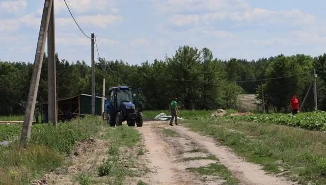 Замість чагарників – десятки гектарів ягід: як на Волині розбудовують найбільшу органічну плантацію (фото)