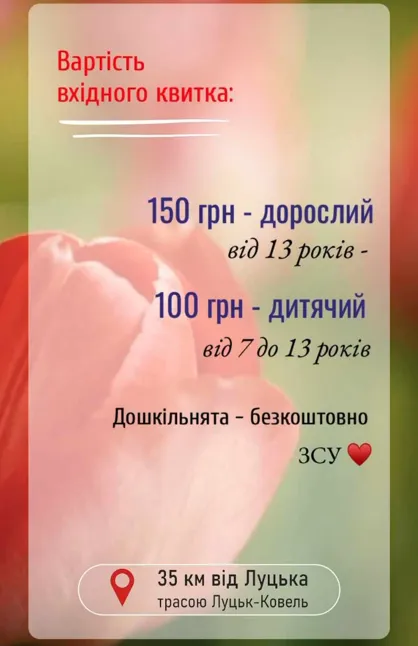 «Волинська Голландія»: повідомили, коли відкриють тюльпанове поле