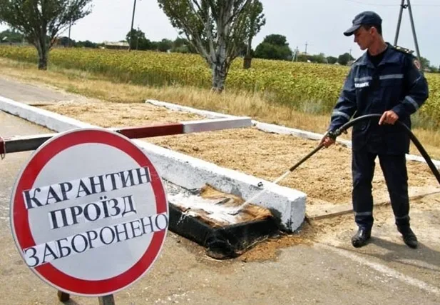 Україна і Польща разом боротимуться із африканською чумою свиней