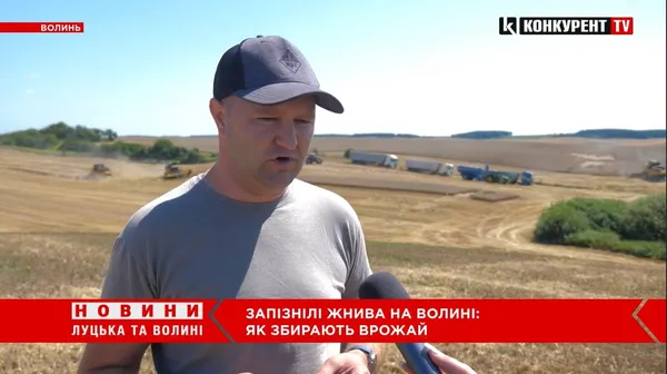 На Волині – розпал запізнілих жнив: чи буде цьогоріч врожай (відео)