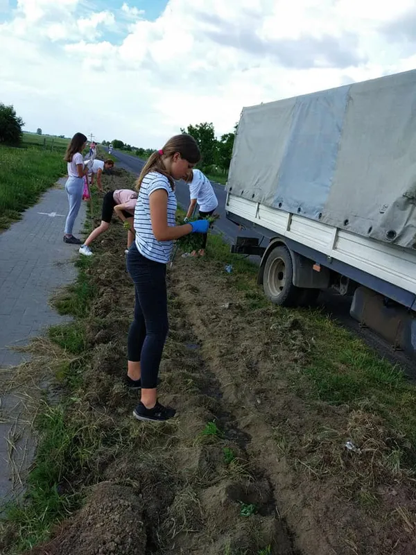 «Квітучий прапор України» збільшився на 2 км і простягнувся вздовж дороги Луцьк-Жидичин