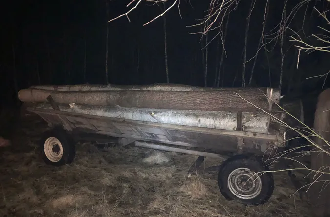 На Волині зловили селянина, який незаконно нарізав повну підводу дерев (фото, відео)