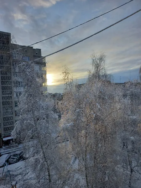 З першим снігом: лучани тішаться зимовому ранку (фото)