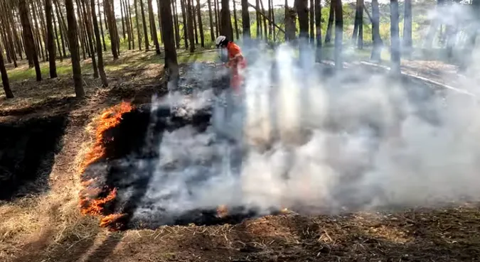 Волинські рятувальники вчилися гасити лісові пожежі у Польщі (відео)