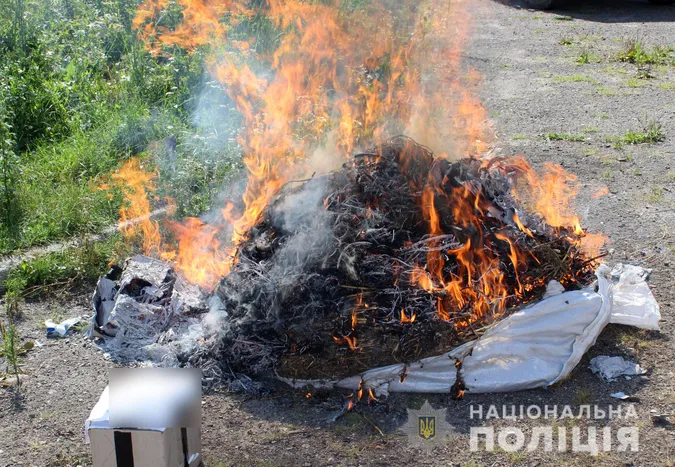 Горів канабіс з димедролом: ковельська поліція знищила наркотики (фото)