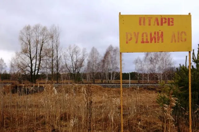 Три місяці екоциду: у Міндовкілля підрахували шкоду, завдану екології війною