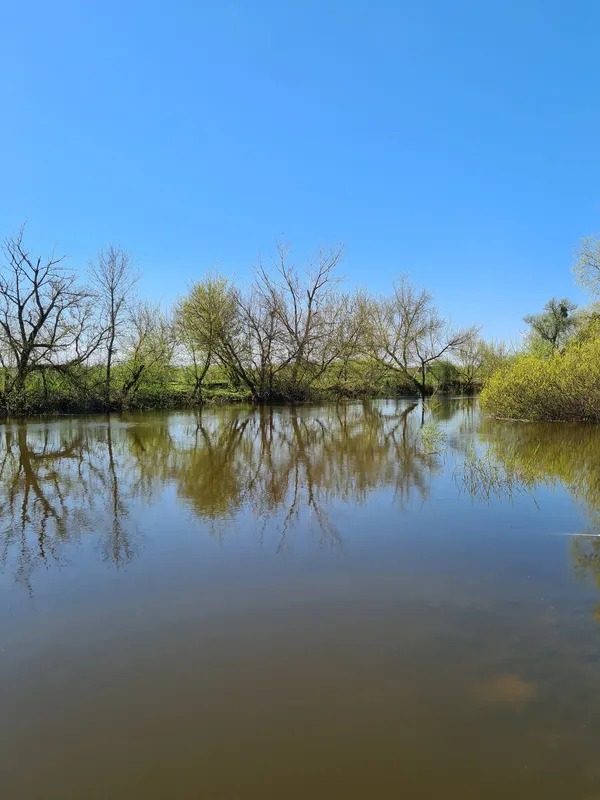 Весняний Луцьк: показали фото заквітчаного міста