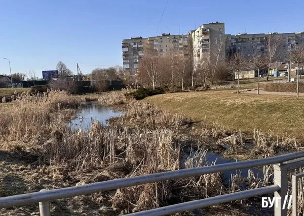 Замість русла – сухі джунглі: у Володимирі так і не взялися за розчищення річки у парку (фото)