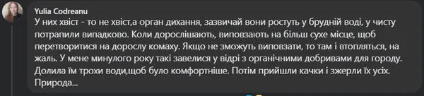 Як з фільму жахів: на Волині знайшли дивну комаху, яка дихає 3-сантиметровим хвостом (фото, відео)