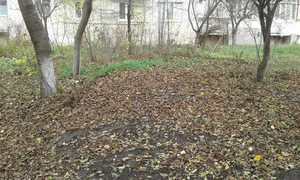 Муніципали зносять паркани у луцьких дворах (фото)