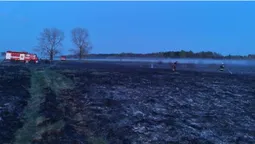 На Волині – масштабна пожежа: горить торфовище (фото)