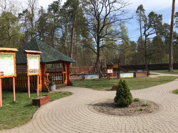«Лісові» подарунки: як волинські села безкоштовно отримують «туристичні родзинки»