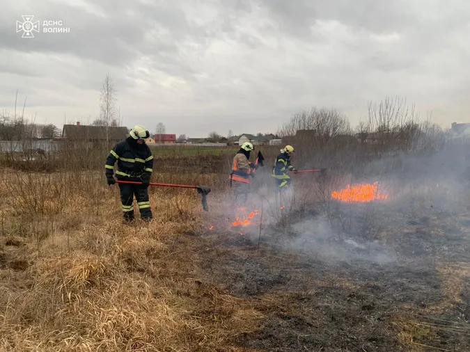 Аномальна зима: на Волині – пожежі в екосистемах (фото)