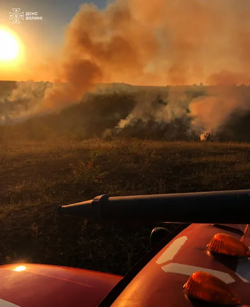 Дві пожежі за день: на Волині вигоріло майже 2 гектари сухостою (фото)