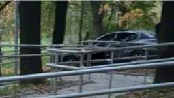 У луцькому парку «Дубки» легковик врізався в дерево (фото, відео)