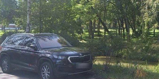 У Луцьку муніципали покарали водія, який припаркувався на газоні у парку (фото)