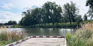5-кілограмові коропи та спокій: чим приваблює озеро Татарка на Волині (фото)