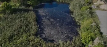 Сіра вода, піна та запах каналізації: на Волині екологи перевіряють водойму (фото)