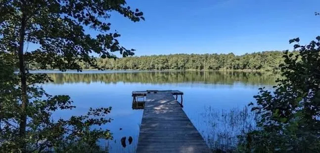 Серед лісів Волині ховається озеро з прозорою водою та рідкісними птахами (фото)