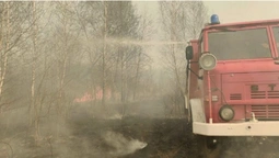 Масштабну пожежу під Шацьком здолали лише наступного дня (фото)
