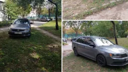 У Луцьку водій влетів на гроші за паркування на травичці