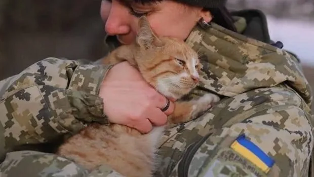 Що відбувається із дикими та домашніми тваринами в містах, які бомбить РФ