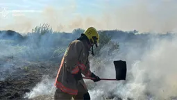 На Волині за добу сталося вісім масштабних пожеж на полях (фото)