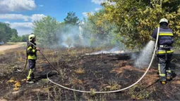 Вогонь охопив майже гектар: на Волині рятувальники ліквідували чотири пожежі сухостою (фото)
