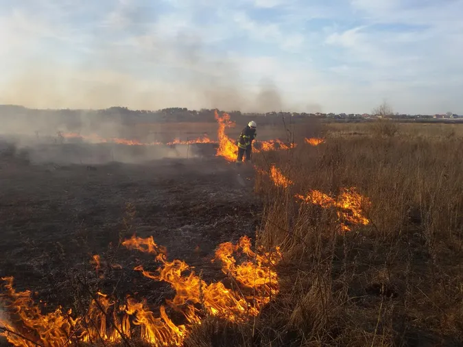 На Волині горіли 34 гектари сухої трави