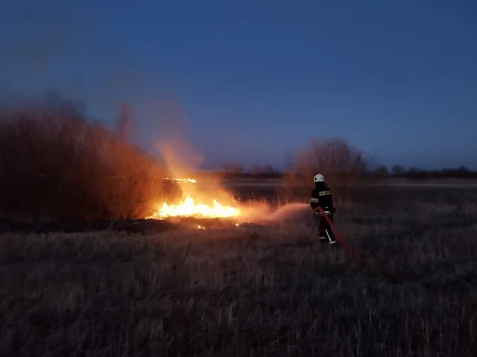 Масові пожежі на Волині: вигоріли понад 20 гектарів землі (фото)