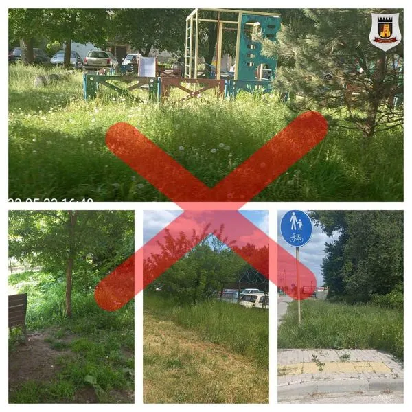 У Луцьку роздають приписи за надто високу траву (фото)