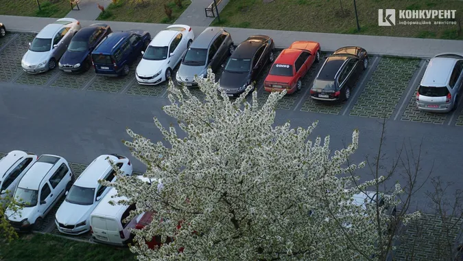 Сонце, квіти і коти: Луцьк заполонила справжня весна (фото)