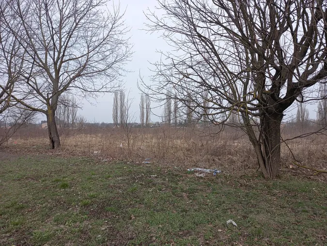 Лучани влаштували сміттєзвалище біля Нового ринку (фото)