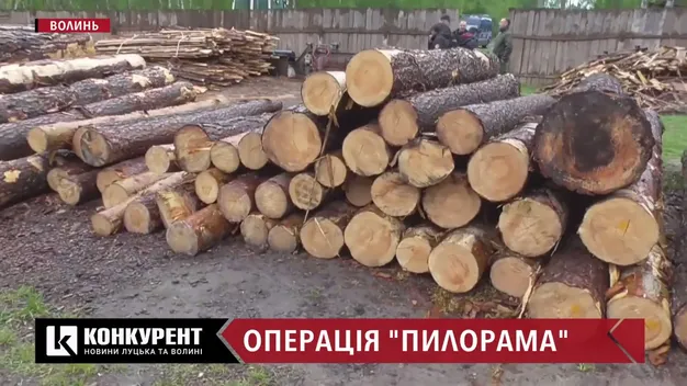 На Волині в оселях лісокрадів, які спалили автомобіль з дубом, знайшли зброю (фото)