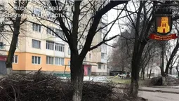 Лучанам нагадують: за гілля і будівельні відходи біля контейнерів – штраф (фото)