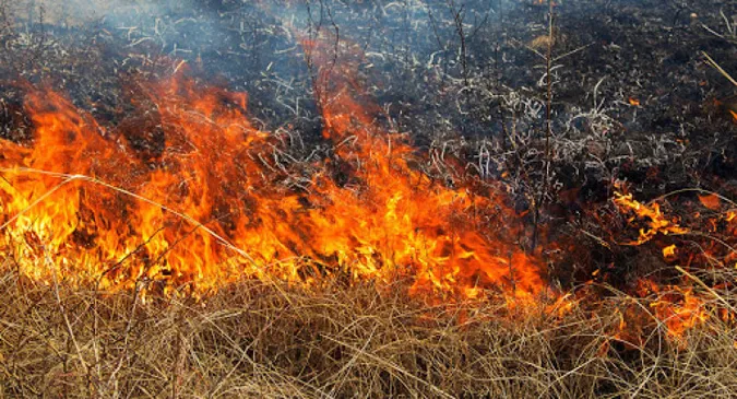 Біля замку Любарта горів сухостій