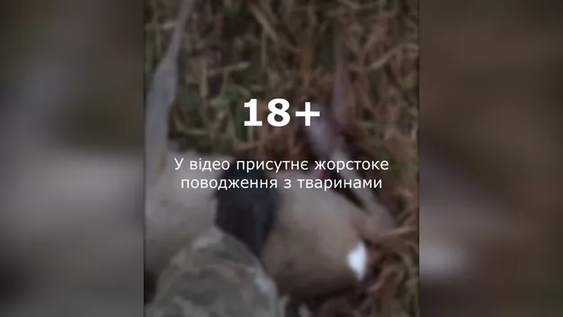 «Отакого експонатіка взяли»: луцькі прикордонники жорстоко познущалися над твариною (відео 18+)