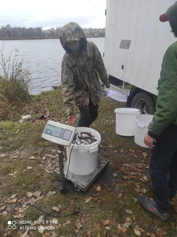 У Ковельське водосховище запустили майже тонну риби (фото)