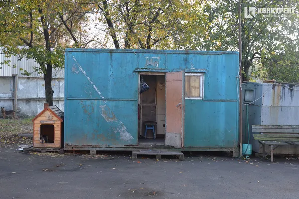 Про реалії та перспективи луцької «Ласки»: інтерв’ю з Наталією Рудь