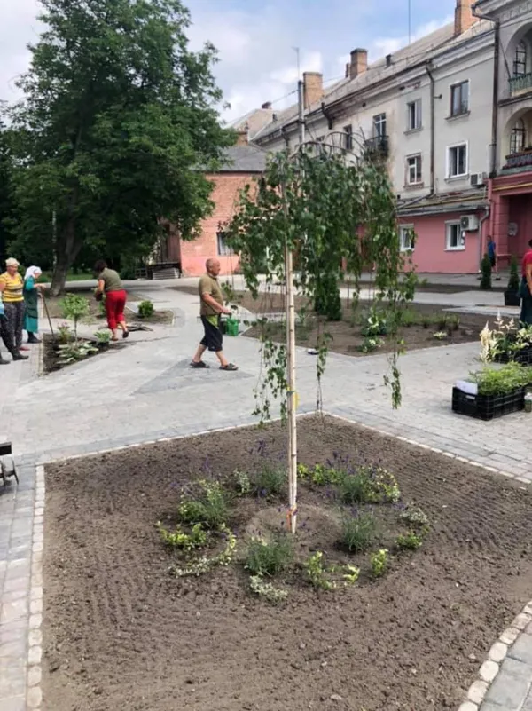 У луцькому сквері посадили квіти