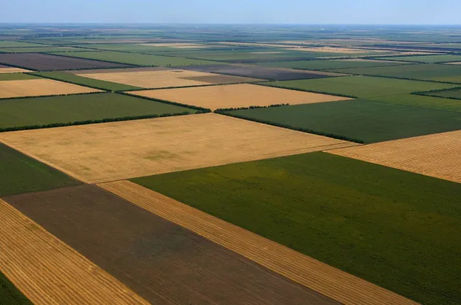 Керівникові відділу Держземагентства на Волині оголосили про підозру