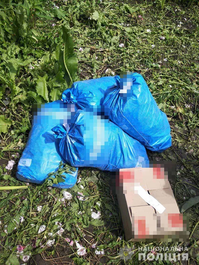У волинянки на городі знайшли майже 800 рослин маку (фото)