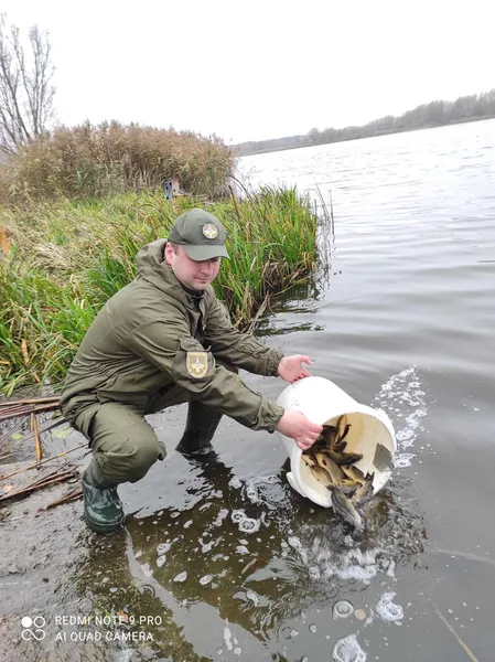 До Ковельського водосховища випустили понад пів тонни коропів, карасів та білих амурів (фото)