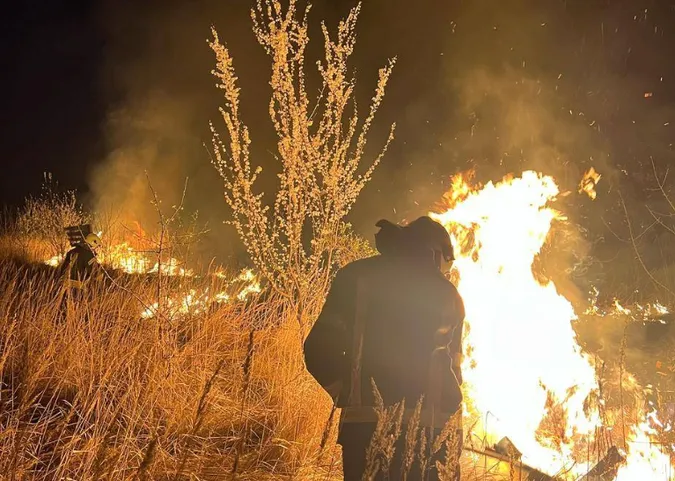 На Волині вогонь випалив 34 гектари сухої трави, чагарників та очерету (фото)