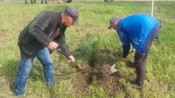 У Хорлупах на місці закинутого складу заклали новий сквер (фото)