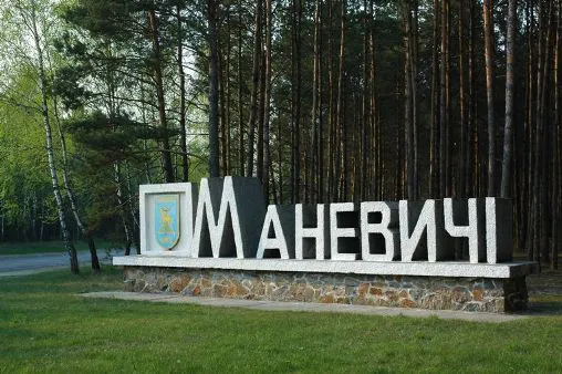 Палицею забила до смерті: деталі трагедії на Маневиччині
