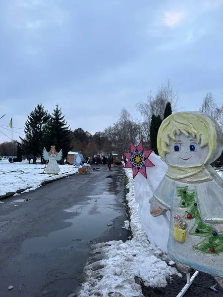 У Володимирі відкрили головну ялинку міста (фото)