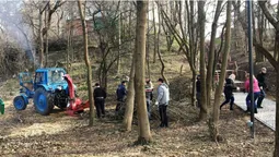 Луцьк прибирають до свят: комунальники і молодь вийшли на толоку (фото)