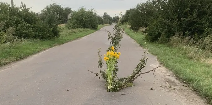 Провалля на волинській дорозі: дорожників просять усунути проблему (фото)
